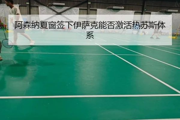 阿森纳夏窗签下伊萨克能否激活热苏斯体系
